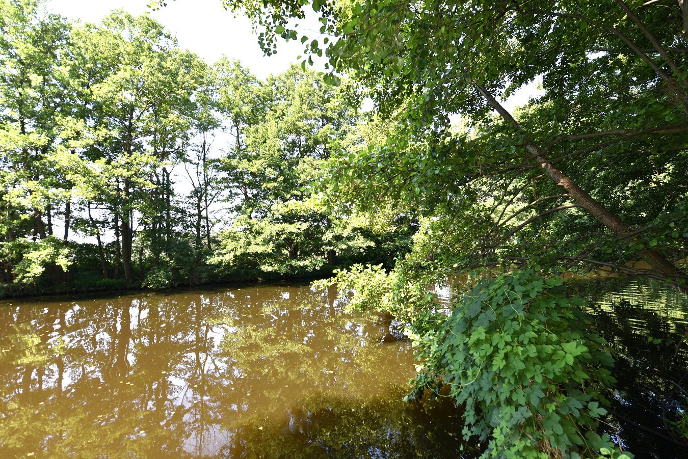 5.946 m² Grundstück am Fluss in Prieros, nahe Berlin, in traumhafter Lage mieten