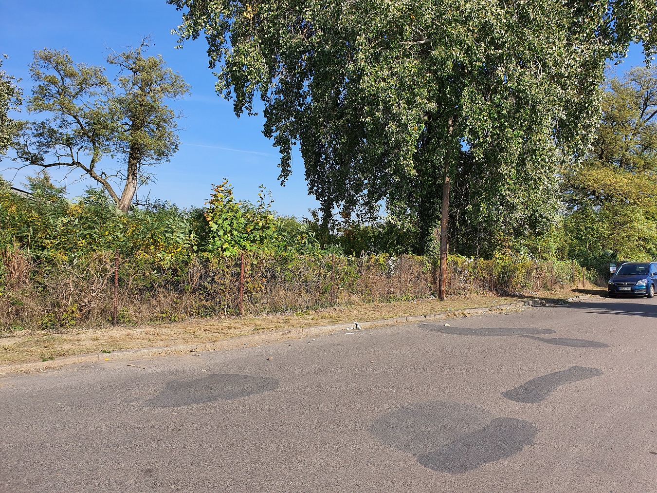 4.270 m² Garten-Grundstück in Forst (Lausitz) mieten
