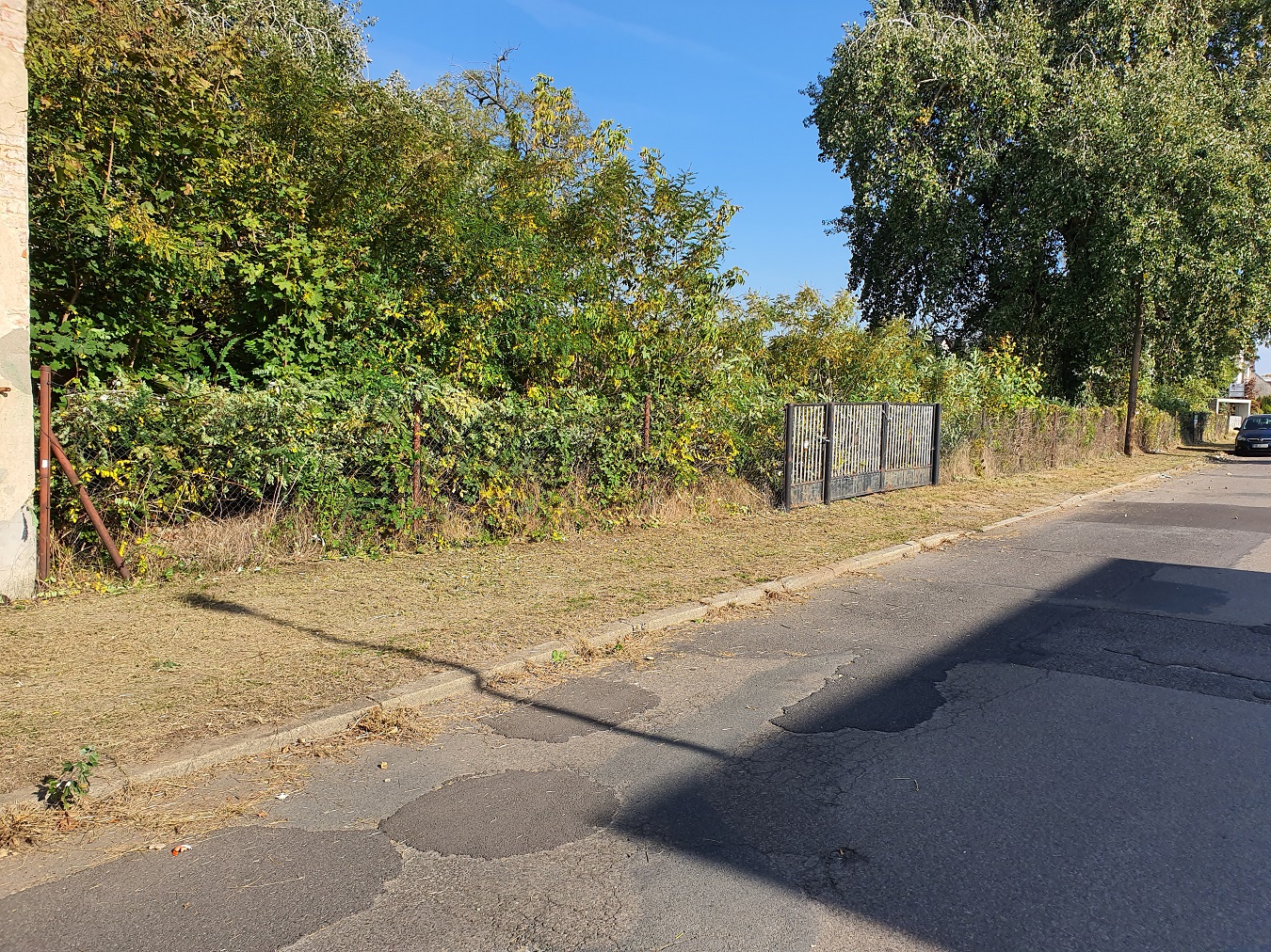 4.270 m² Garten-Grundstück in Forst (Lausitz) mieten