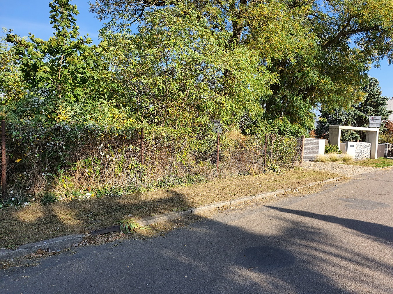 4.270 m² Garten-Grundstück in Forst (Lausitz) mieten