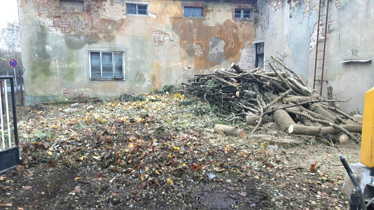 4.270 m² Garten-Grundstück in Forst (Lausitz) mieten