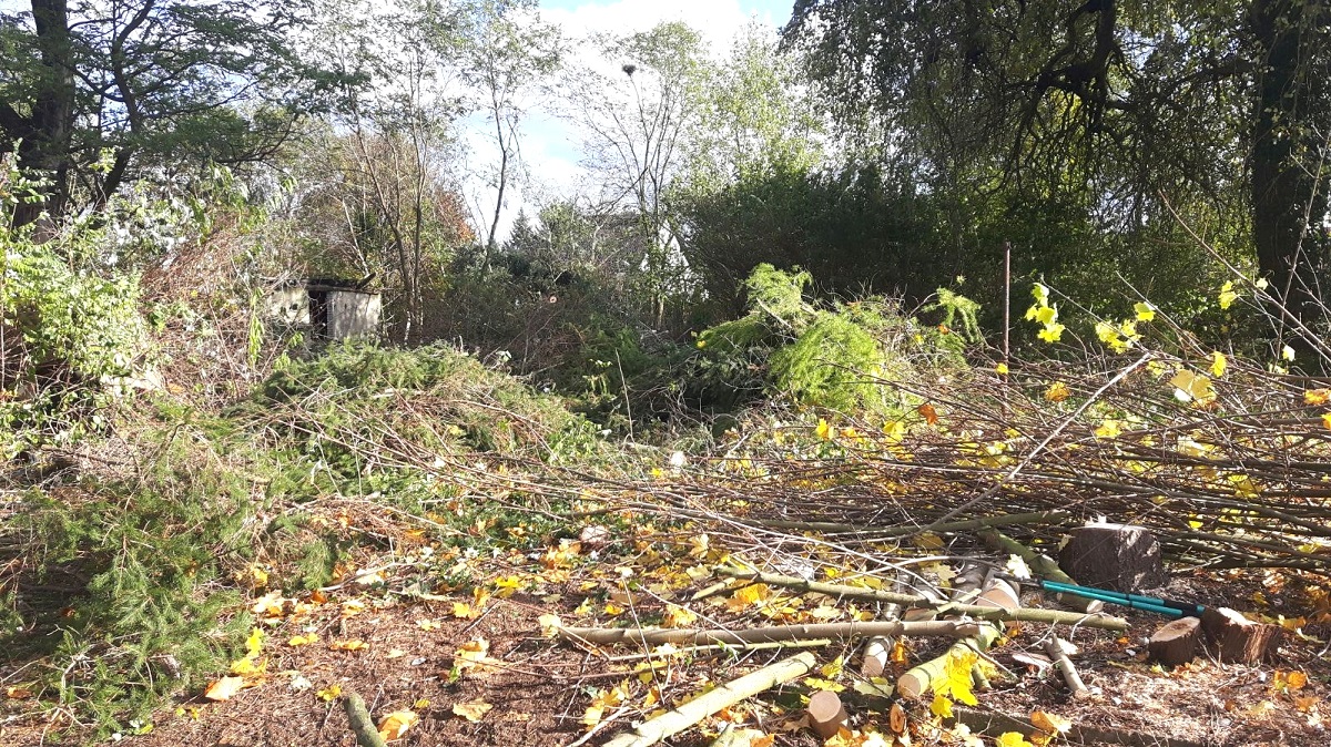 4.270 m² Garten-Grundstück in Forst (Lausitz) mieten