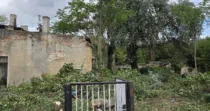 4.270 m² Garten-Grundstück in Forst (Lausitz) mieten