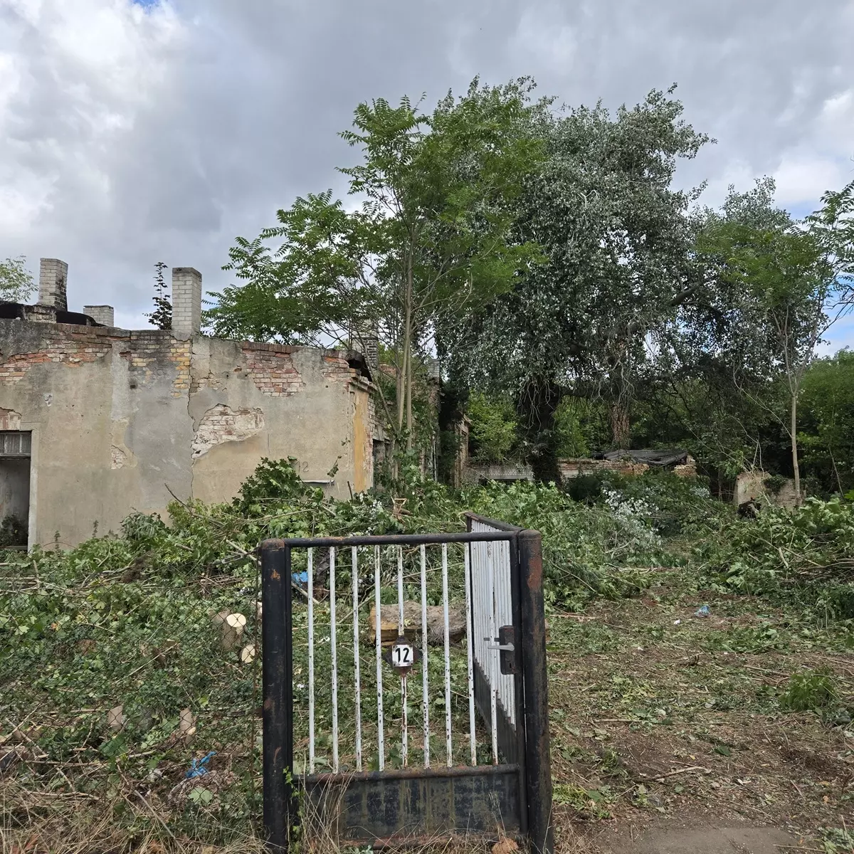 4.270 m² Garten-Grundstück in Forst (Lausitz) mieten