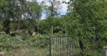4.270 m² Garten-Grundstück in Forst (Lausitz) mieten