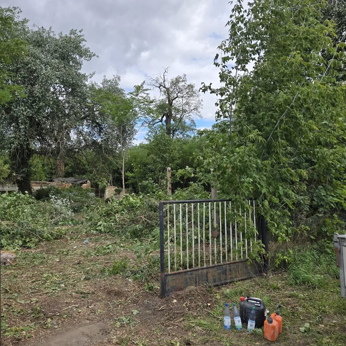4.270 m² Garten-Grundstück in Forst (Lausitz) mieten