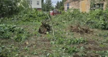 4.270 m² Garten-Grundstück in Forst (Lausitz) mieten