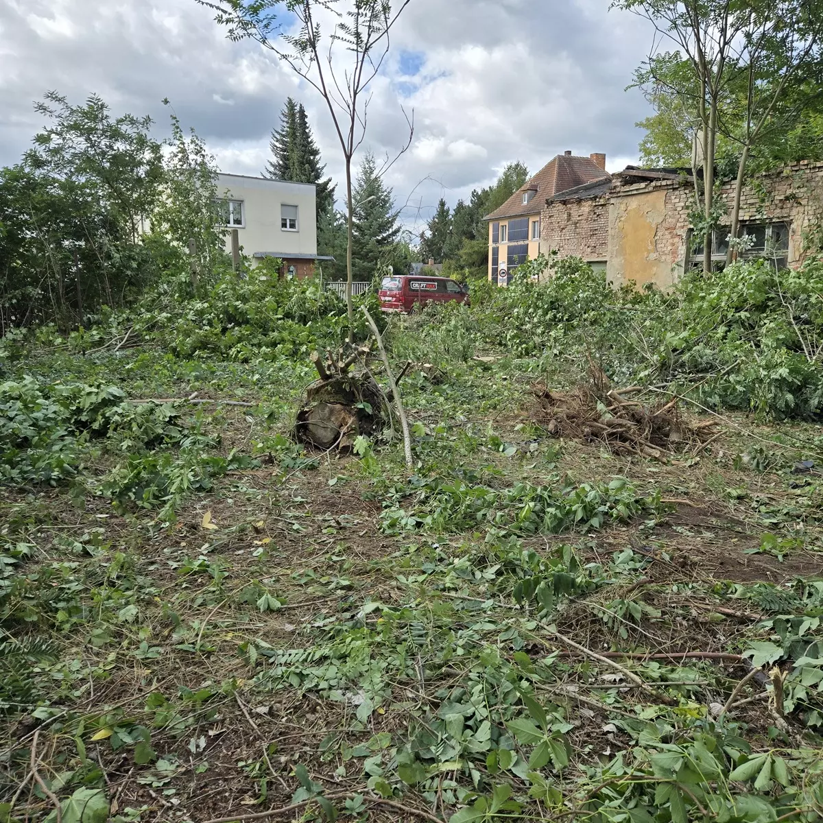 4.270 m² Garten-Grundstück in Forst (Lausitz) mieten