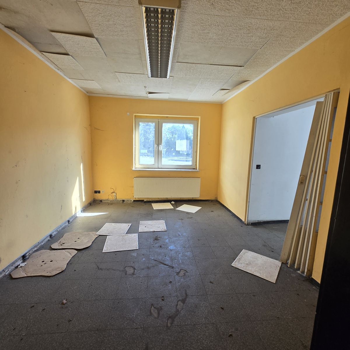 230 m² Werkstatt mit Büro, Shop, Carport & 2 Stellplätze in Spremberg mieten