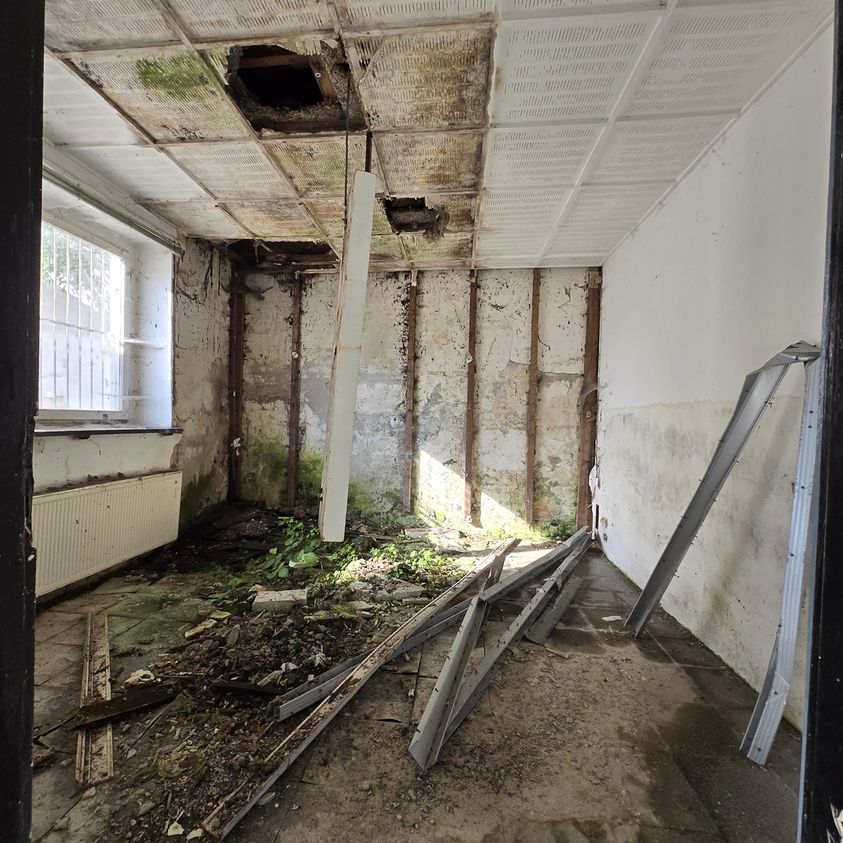 230 m² Werkstatt mit Büro, Shop, Carport & 2 Stellplätze in Spremberg mieten
